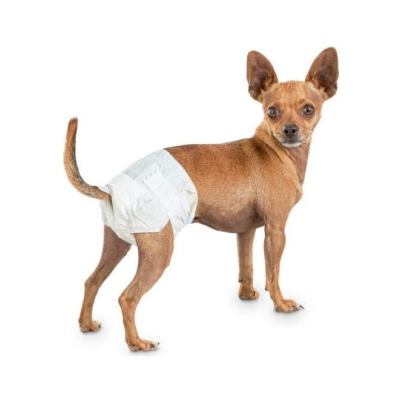 Pañales Desechable Para Gatos Y Perros Hembra. 10 Un.