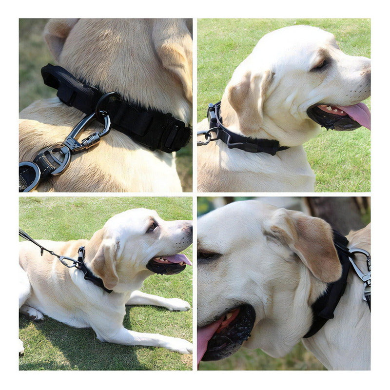 Collar Para Perro, Táctico, Color Verde Tamaño Del Collar Xl