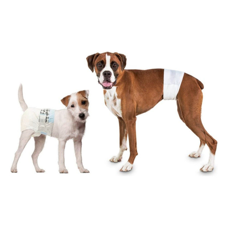 Pañales Desechable Para Perro 12 Unidades Talla Xl