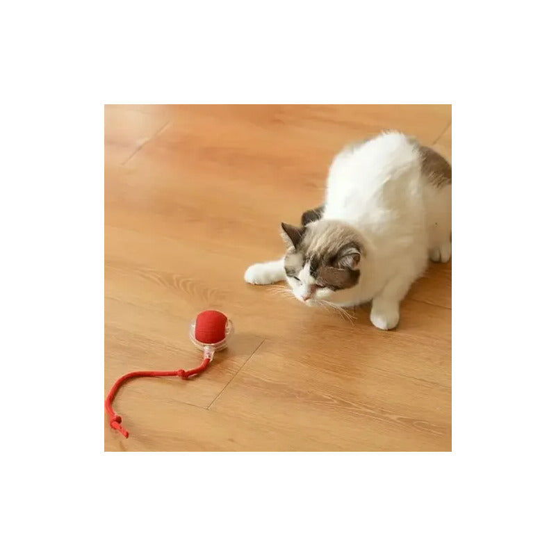 Pelota Eléctrica Para Gatos Juguete Interactivo Y Automatico