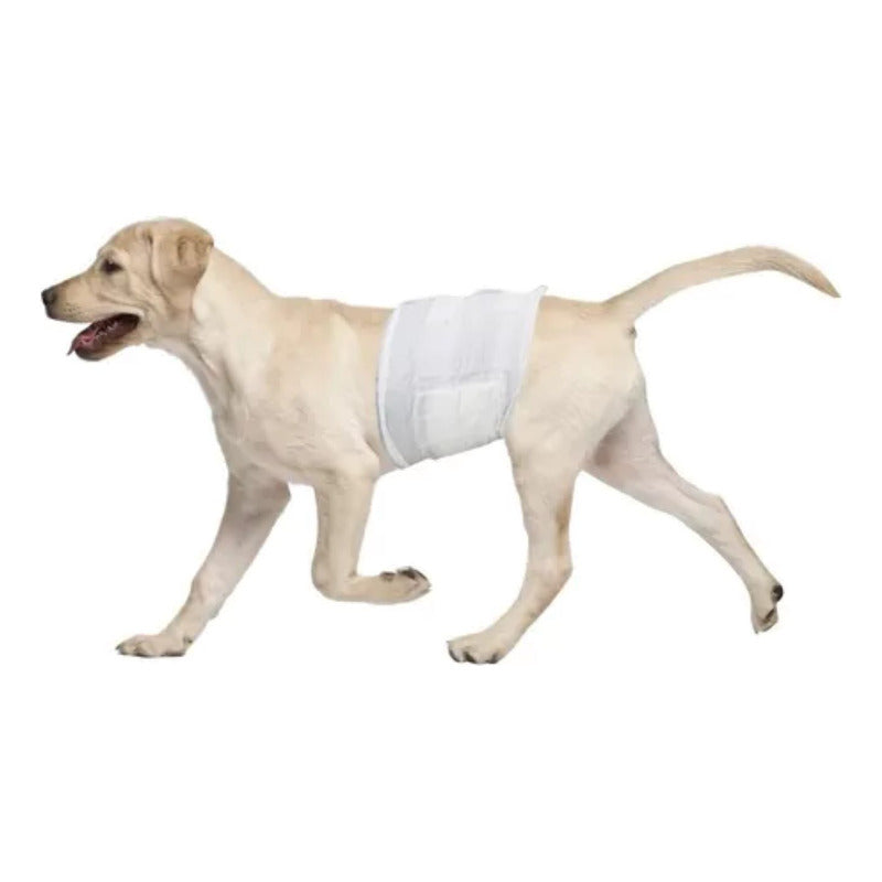 Pañal Para Perro Talla M 12 Und Seco Y Cómodo