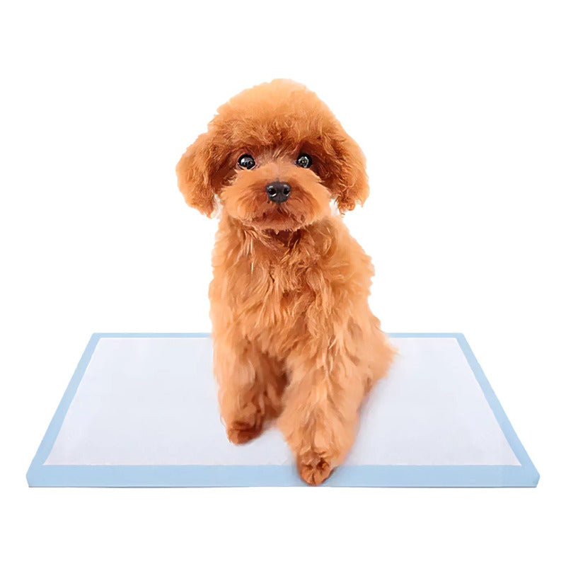 Sabanilla Para Perros Sanitario 60x60 Celeste