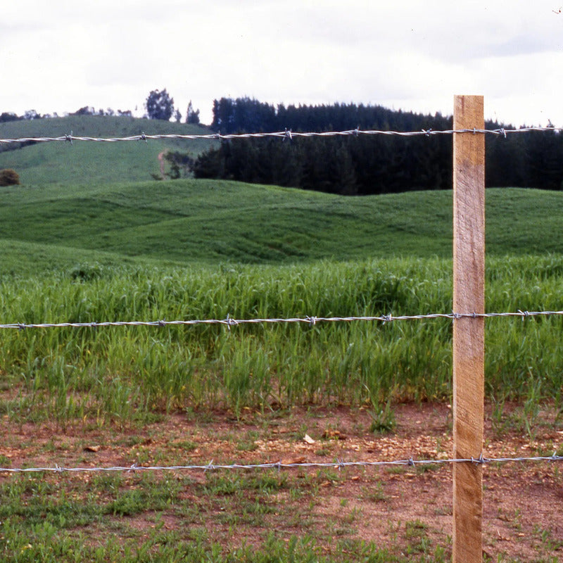 Alambre De Puas Rollo 14 X 100 Mt Lowa