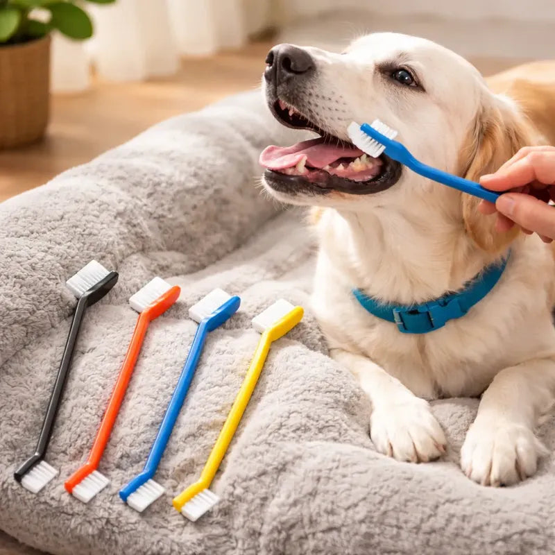 Cepillo De Dientes Para Perros Y Gatos Variado