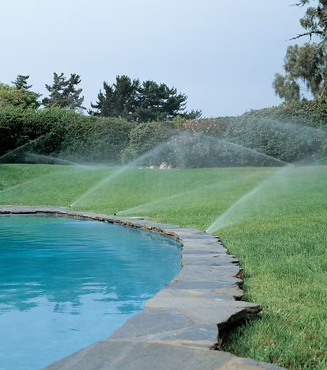 HOGAR, JARDIN Y MASCOTAS