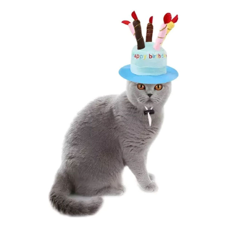 Sombrero Difraz Perro Gato Mascota Happy  Cumpleaños