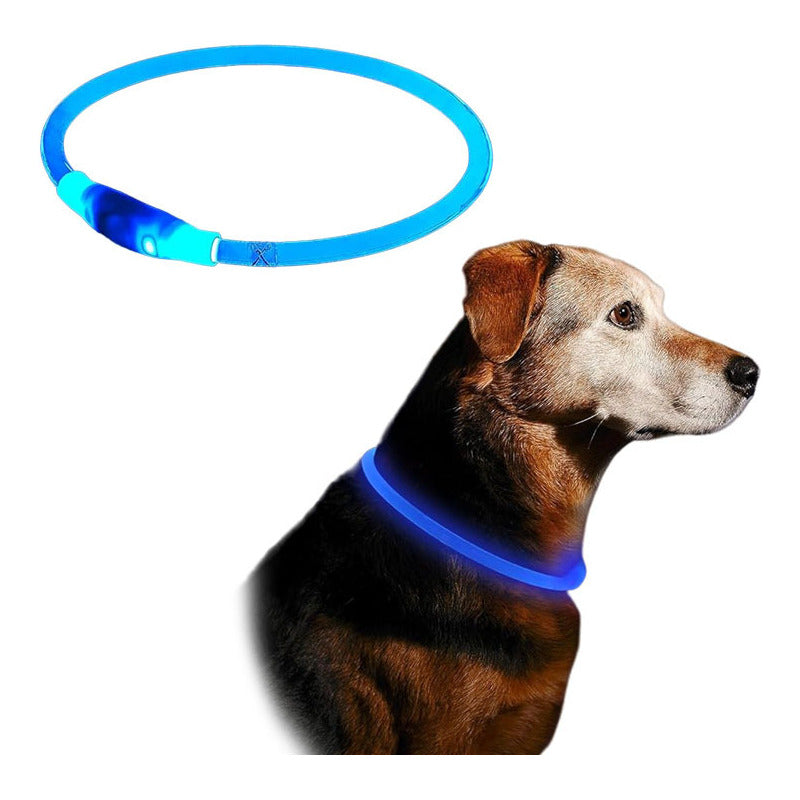 Collar Led Para Perro Brilla En La Oscuridad Usb Recargable