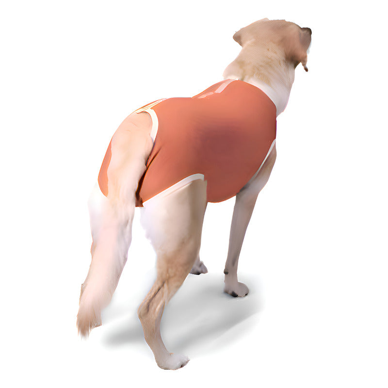 Body Cobre Kimba Castración Perros Machos Talla 5