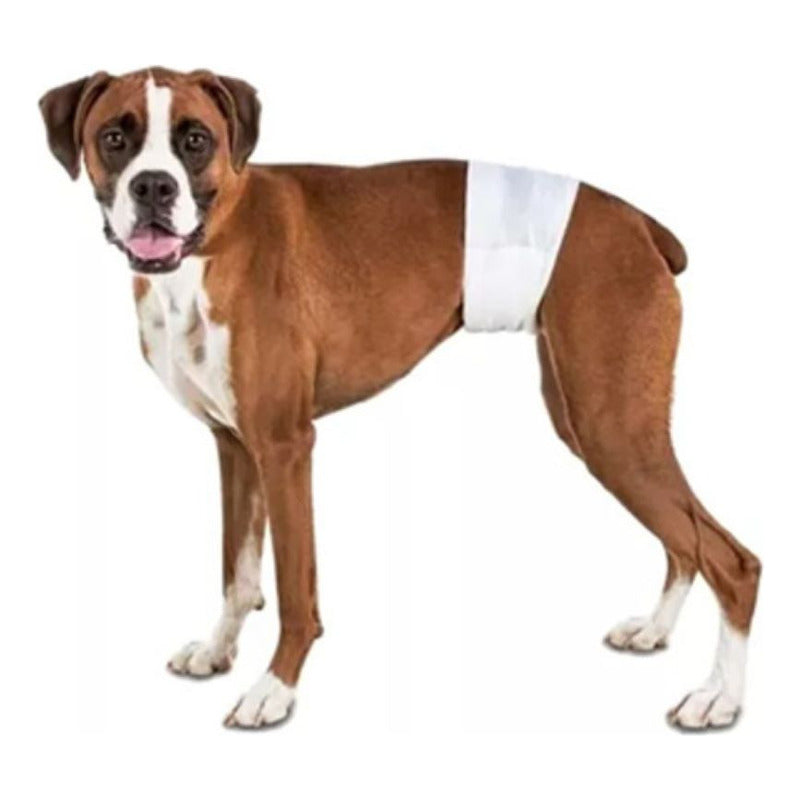 Pañal Para Perro Talla S 12 Und  Seco Y Cómodo