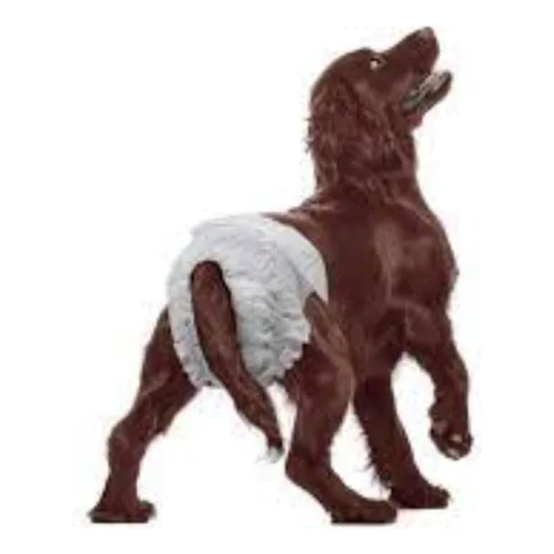 Pañales Desechable Para Perro 10 Unidades Talla L
