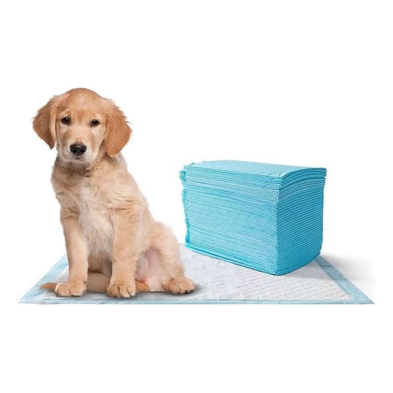 Sabanilla 45x60cm Aroma Manzana 8 Unidades