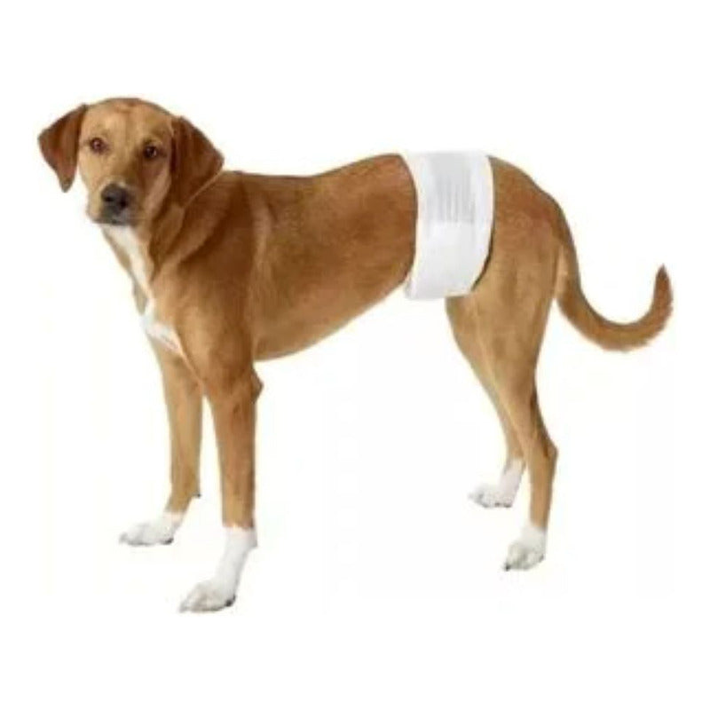 Pañales Desechable Para Perro 12 Unidades Talla Xl