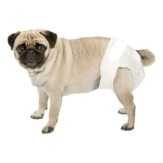 Pañales Desechable Para Perro 10 Unidades Talla L