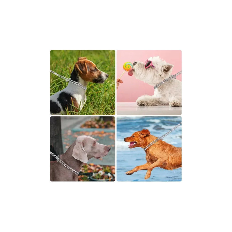 Collar De Adiestramiento Canino Color Cromo Tamaño 55 Cm