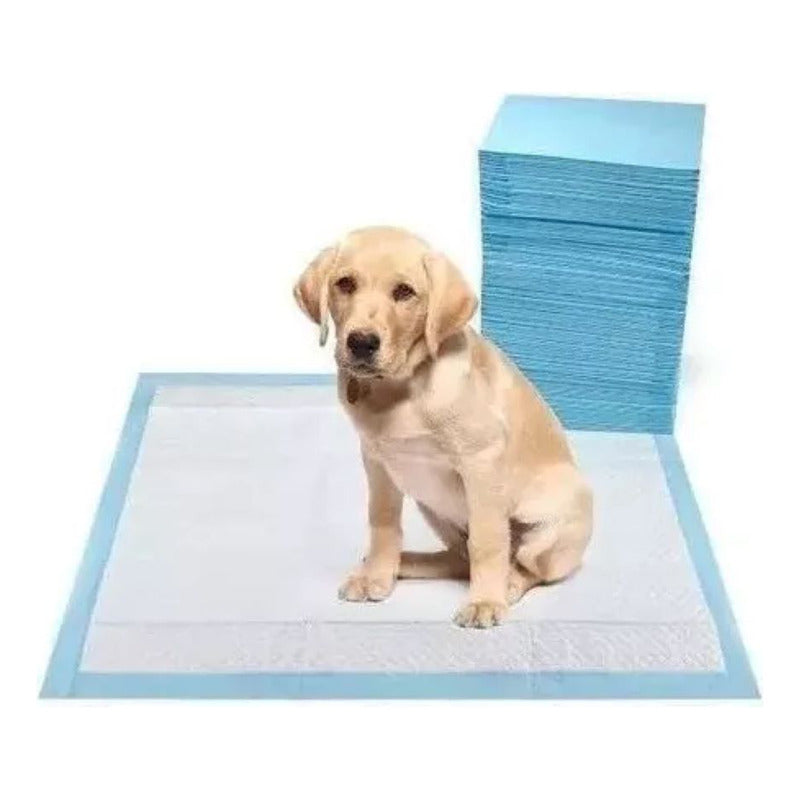 Sabanilla Para Perros Sanitario 60x60 Celeste