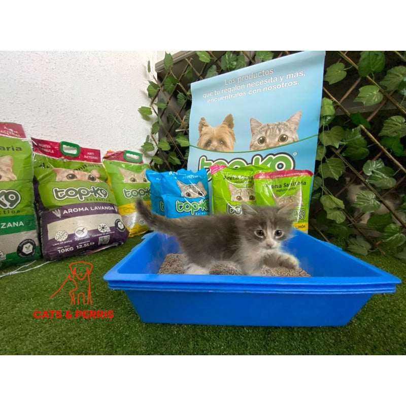 Arenero Para Gatos Con 3 Bandejas.