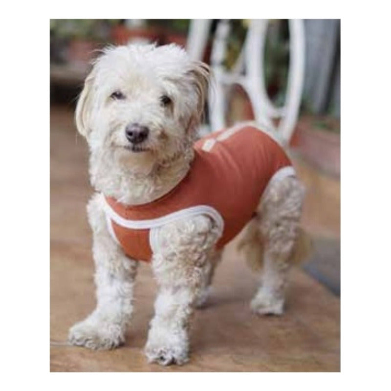 Body Cobre Kimba Castración Perros Machos Talla 0