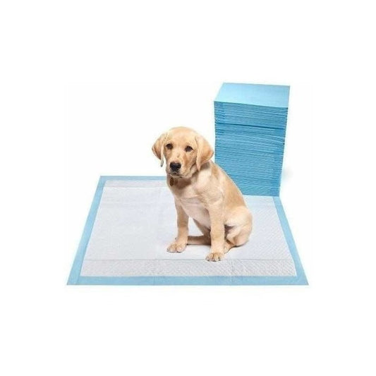 Sabanillas Para Perros 60x90cm Aroma A Manzana  (20 Und)