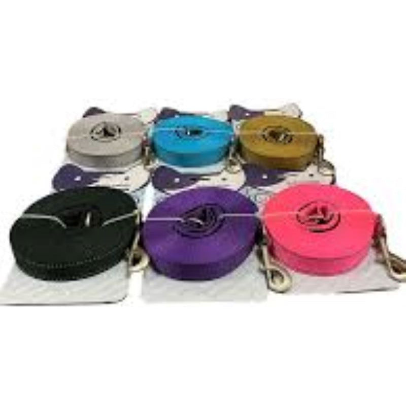 Correa Fuerte Para Perros  Agarre Acolchado 1.5 Mts X 2.5 Cm