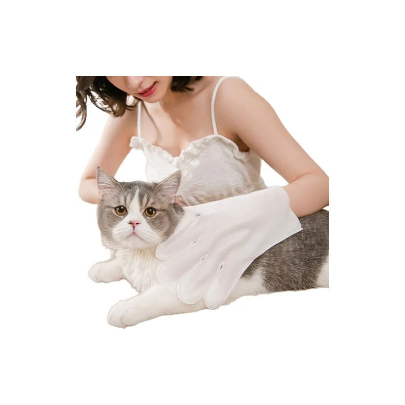 Toallas Tipo Guante Desechable Para Mascotas Gato Perro 6 Pz