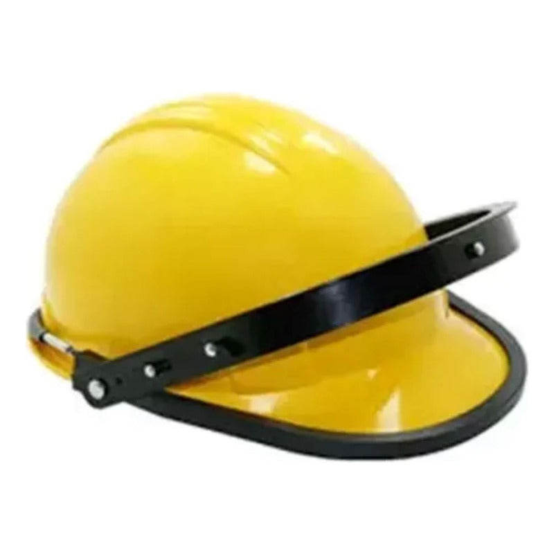 Casco Proseg+portavisor+visor Mica