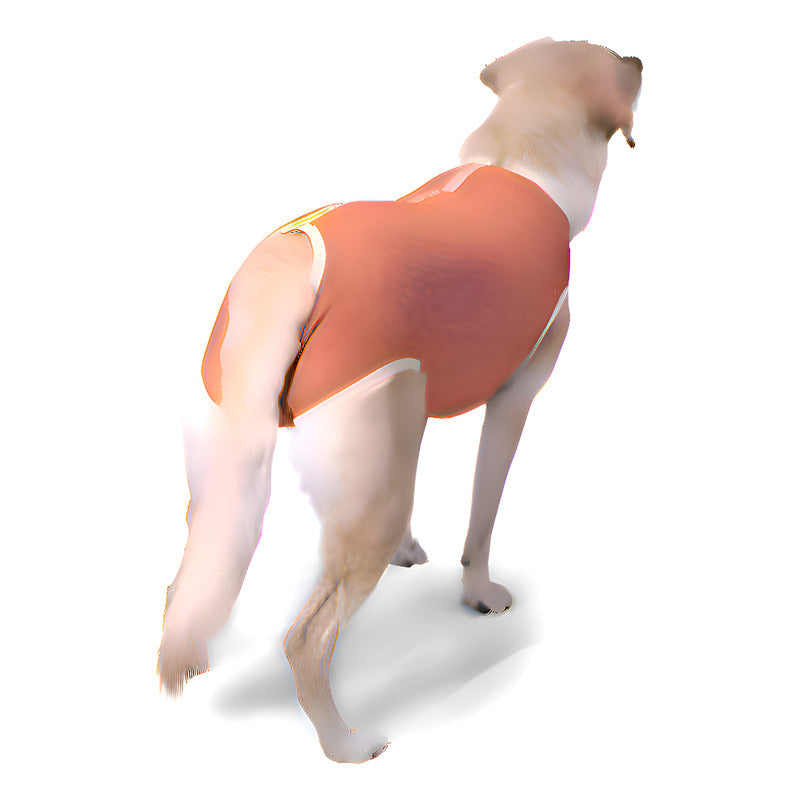 Body Cobre Kimba Castración Perros Machos Talla 9