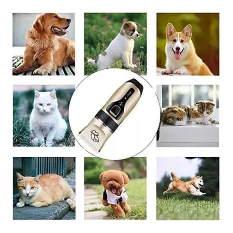 Cortapelo Para Mascotas Versión Profesional Hair Clipper Kit