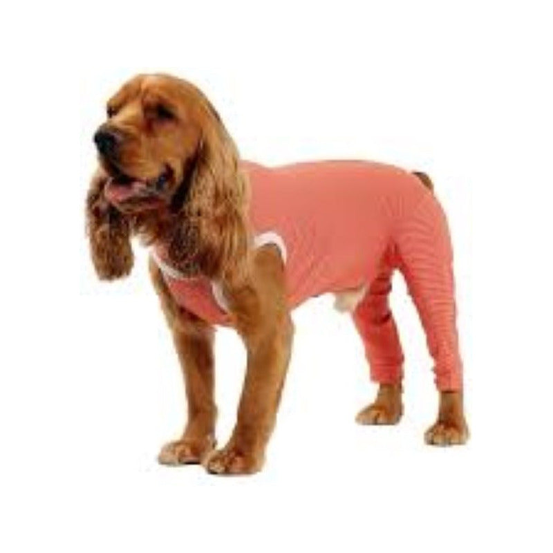 Body Cobre Kimba Posterior Post-operatorio T9 (21 A 25 Kg)