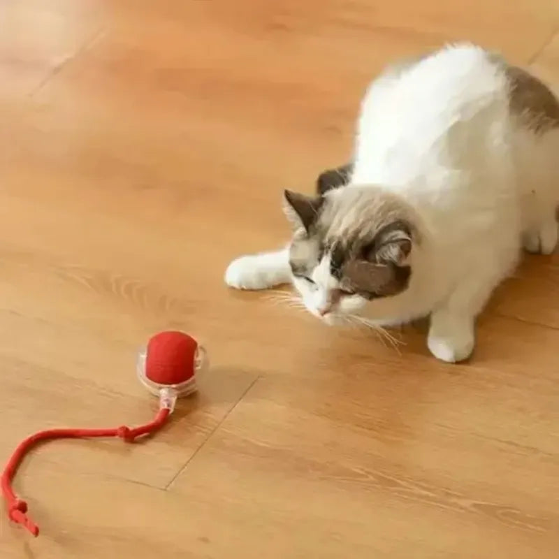 Pelota Eléctrica Para Gatos Interactivo Automat Oferta 2x1 Rojo