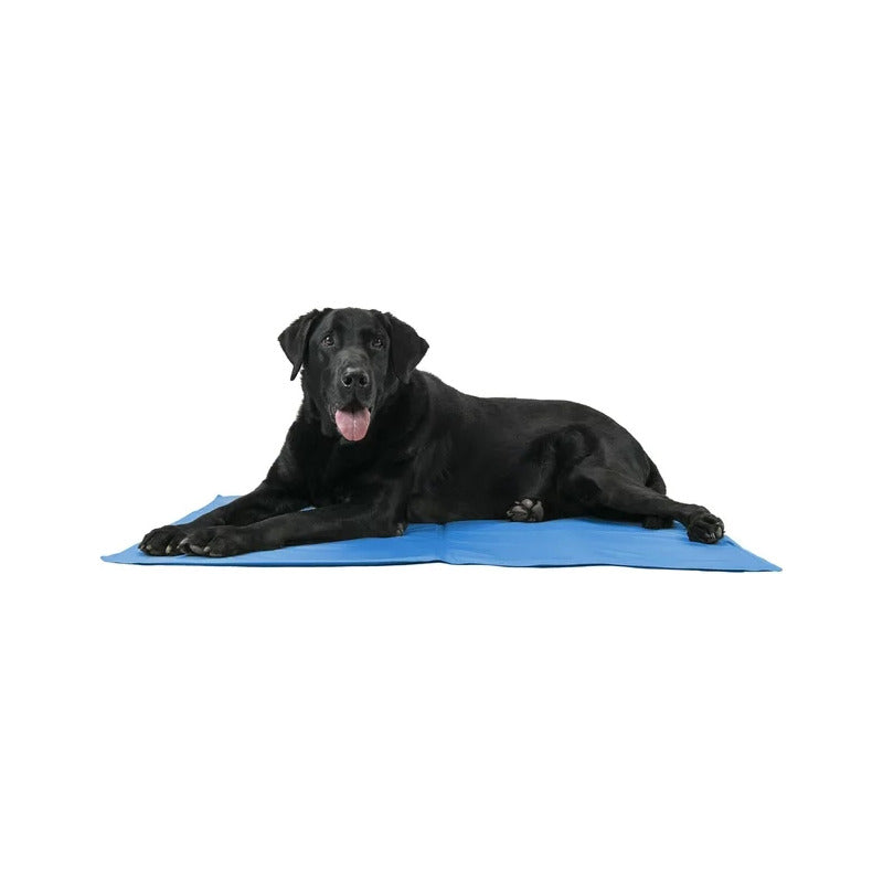 Manta Refrescante Para Perros 90x50 Cm Roro Talla L Colchon Perro Azul Oscuro Sin Diseño