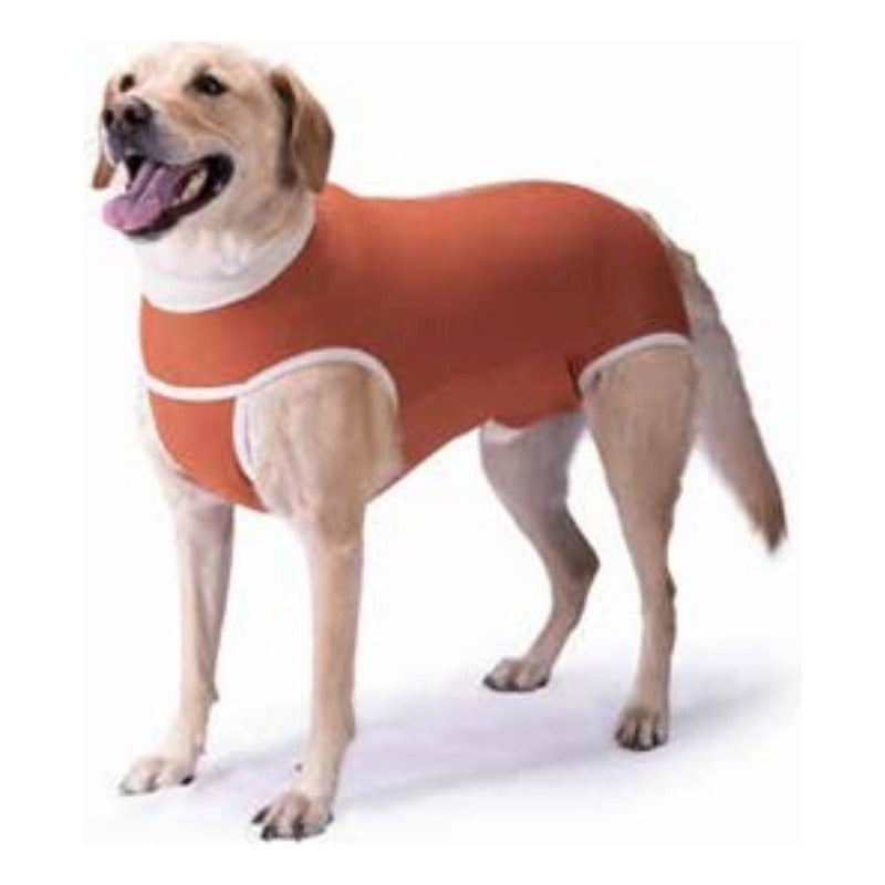 Body Cobre Kimba Castración Perros Machos Talla 9