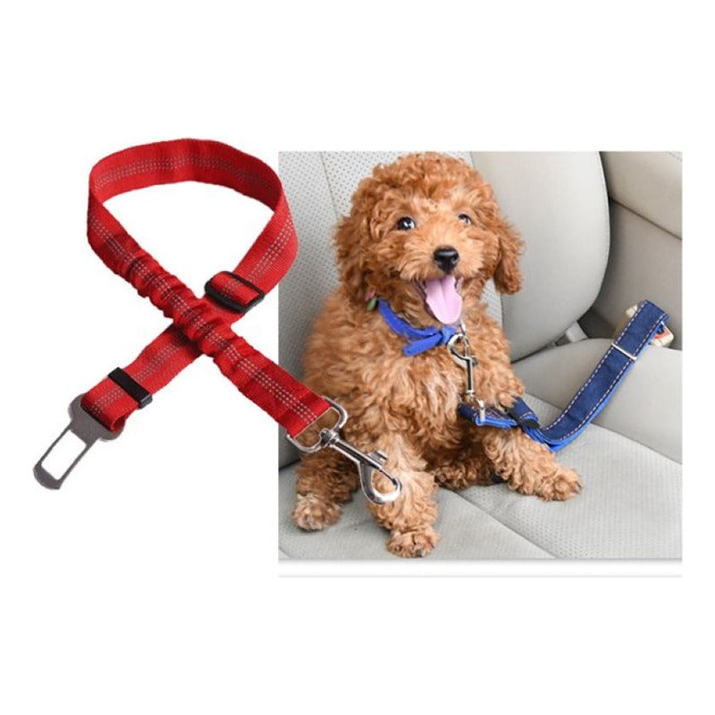 Cinturón De Seguridad Para Mascotas En Auto Arnes Perro Auto