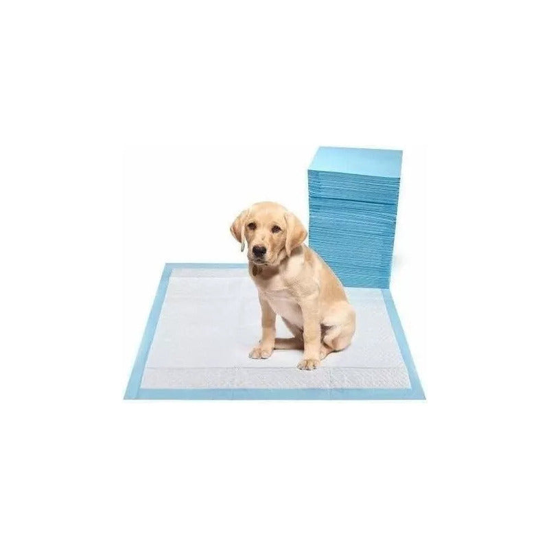 Sabanillas Para Perros 60x60cm  (70 Und)