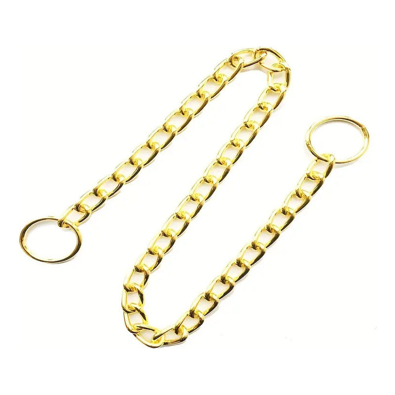 Elegante Collar Dorado De Entrenamiento Para Perros (70 Cm)