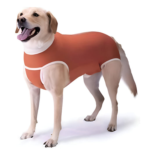 Body Cobre Kimba Castración Perros Machos Talla 14