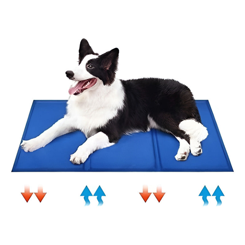 Manta Refrescante Para Perros 90x50 Cm Roro Talla L Colchon Perro Azul Oscuro Sin Diseño