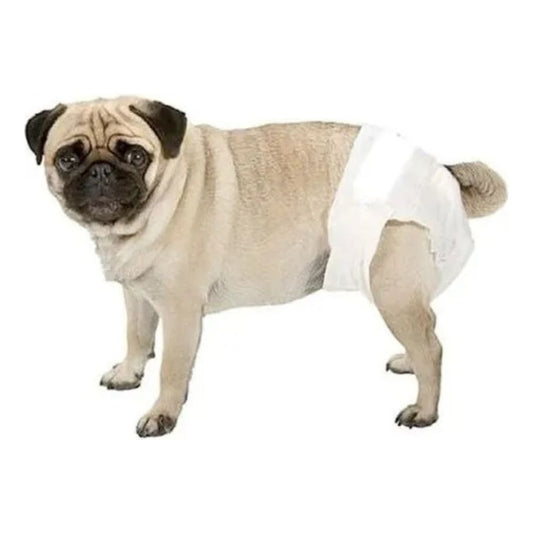 Pañal Para Perro Talla Xs 10 Und Seco Y Cómodo Blanco Xs