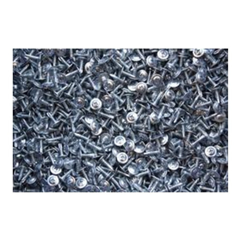 Tornillo Cabeza De Lenteja 8x1 1/4 Pb. (1000un)