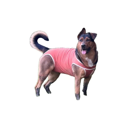 Body Cobre Original Para Perros Y Gatos De 13 Kg A 17 Kg