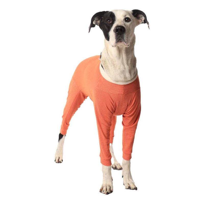 Body De Cobre Completo Post Quirúrgico Talla 8 (17 A 21 Kg)