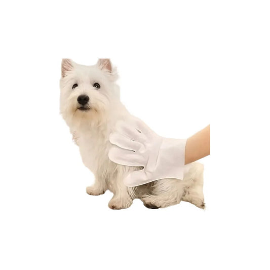 Toallas Tipo Guante Desechable Para Mascotas Gato Perro 6 Pz