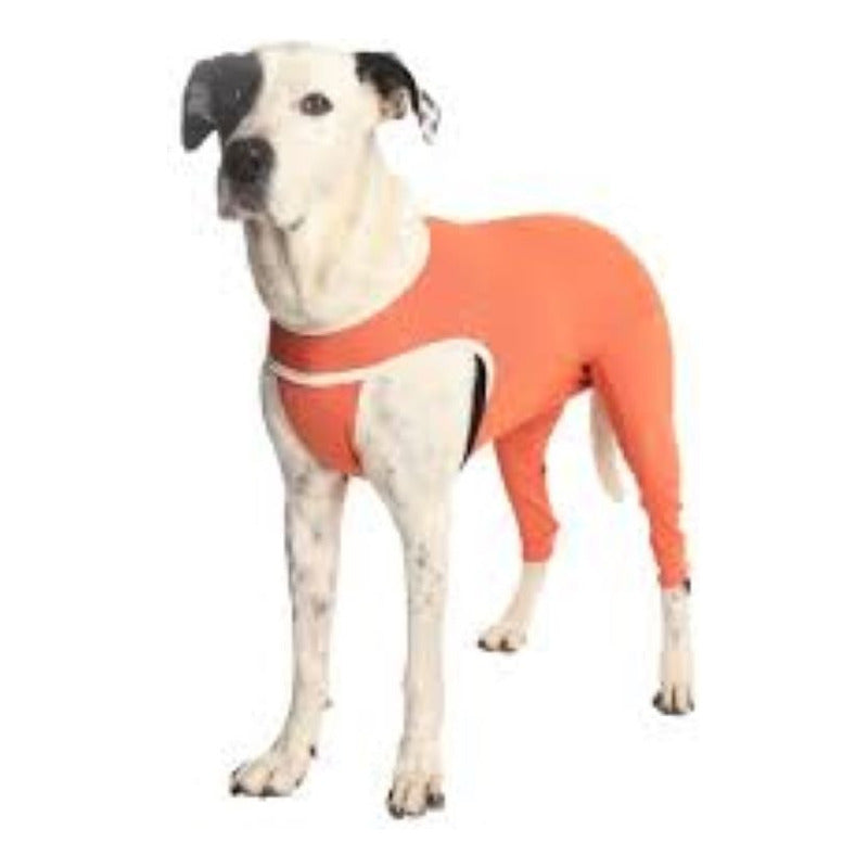 Body Cobre Kimba Posterior Post-operatorio T0 (1.5 A 2.5 Kg)