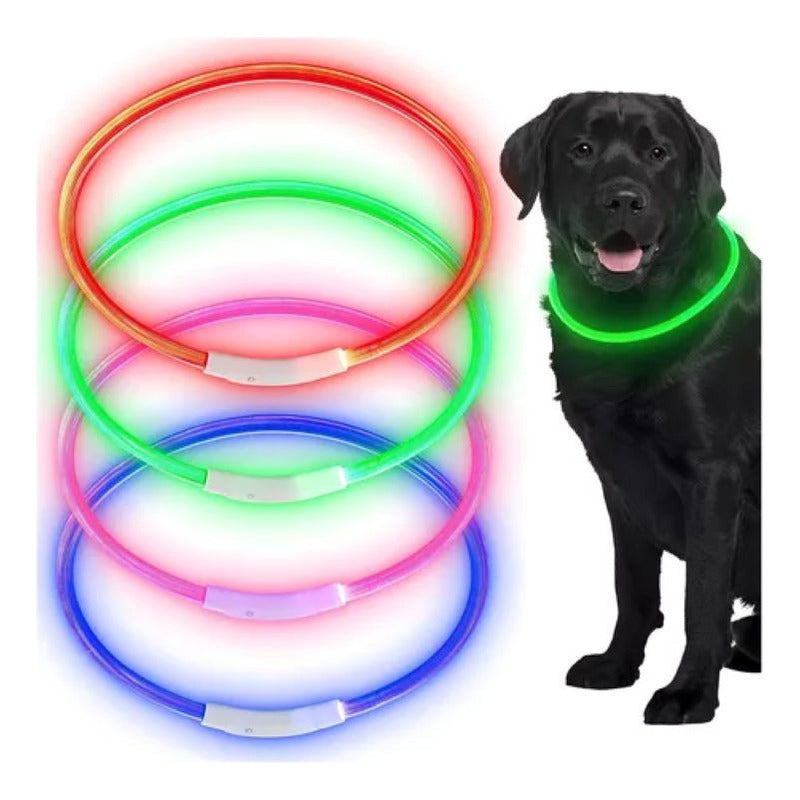 Collar Led Para Perro Brilla En La Oscuridad Usb Recargable