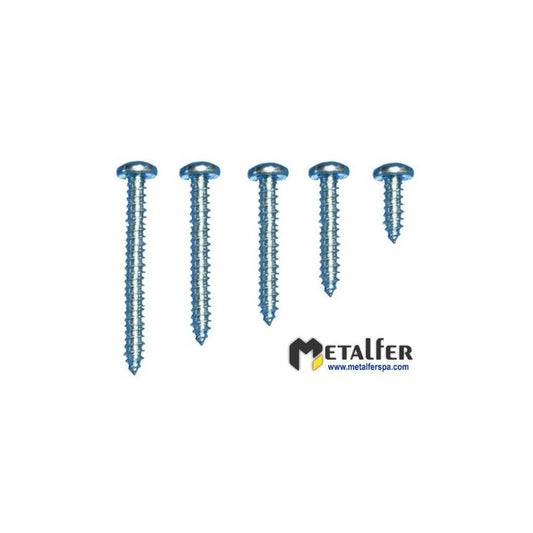 Tornillo Roscalata 6x2    (100 Unidades)