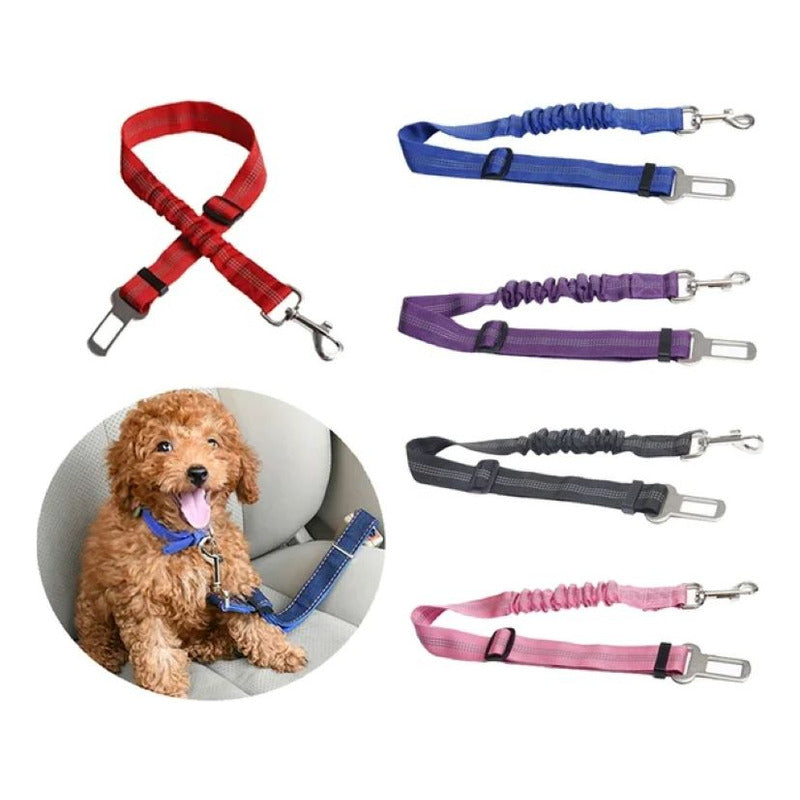 Cinturón De Seguridad Para Mascotas En Auto Arnes Perro Auto
