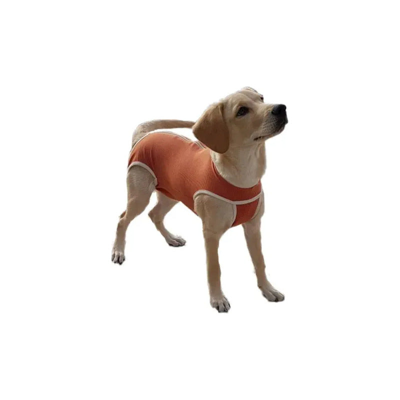 Body Cobre Original Para Perros Y Gatos De 4.5 Kg A 6 Kg