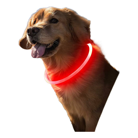 Collar Led Para Perro Brilla En La Oscuridad Usb Recargable