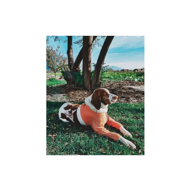 Polerón Cobre Protector Miembros Anteriores - Talla 9