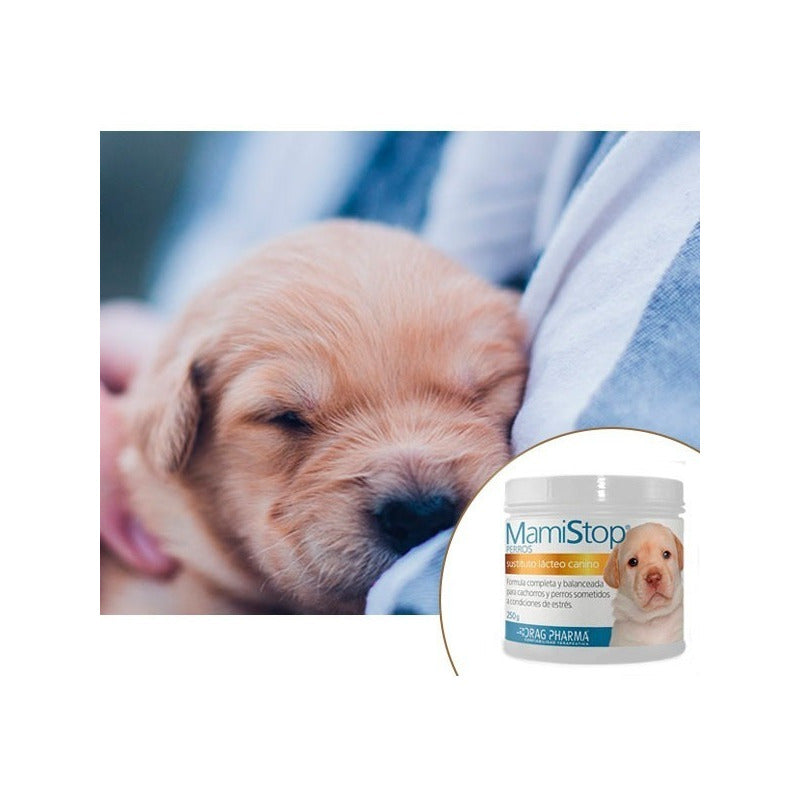 Mamistop Leche Para Perros Sustituto Lacteo Canino 250 G